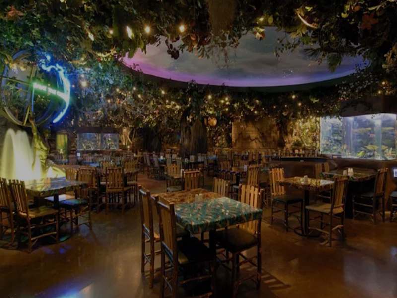 12 Ý tưởng Thiết kế Trang trí quán Cafe cực Ấn tượng